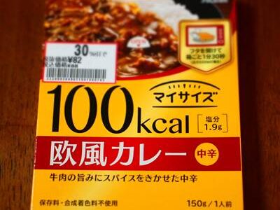 大塚食品 マイサイズ 欧風カレー