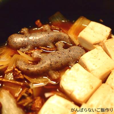 オオサンショウウオこんにゃくと豆腐の煮物