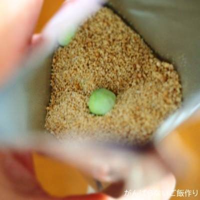 永谷園 広東風かに玉のあんかけの素