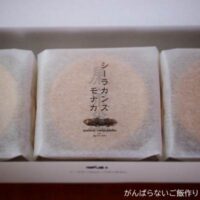 個包装されたシーラカンスモナカ
