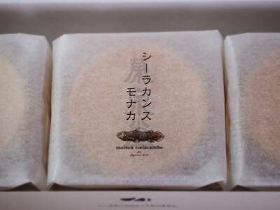 個包装されたシーラカンスモナカ