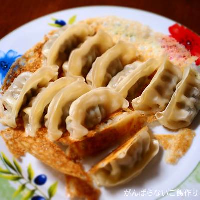 お皿の盛りつけに失敗した羽根つきスタミナ肉餃子