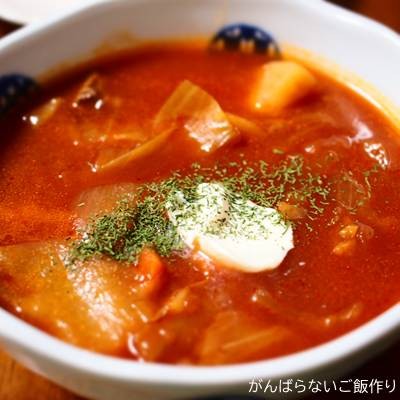 サワークリームと乾燥ディルをトッピングしたロゴスキーのレトルト「いなか風ボルシチ」