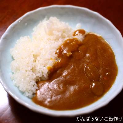 器に白飯と一緒に盛り付けたバスセンターのカレー